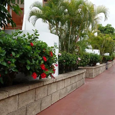 Heated Pool Sea View Speedy Wifi Apartamento